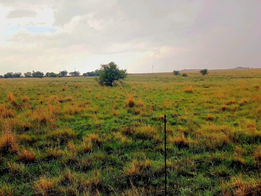 3 Bedroom Property for Sale in Bloemfontein Rural Free State